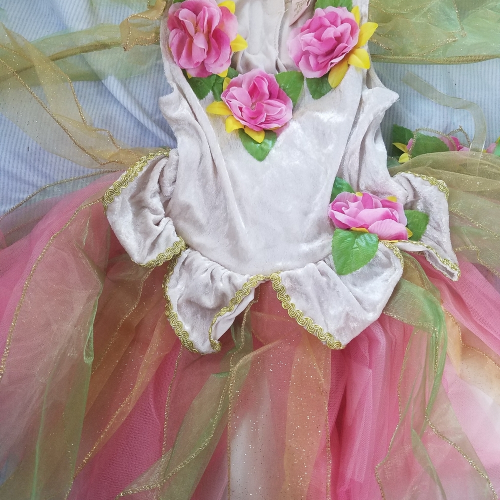 Fairy costume